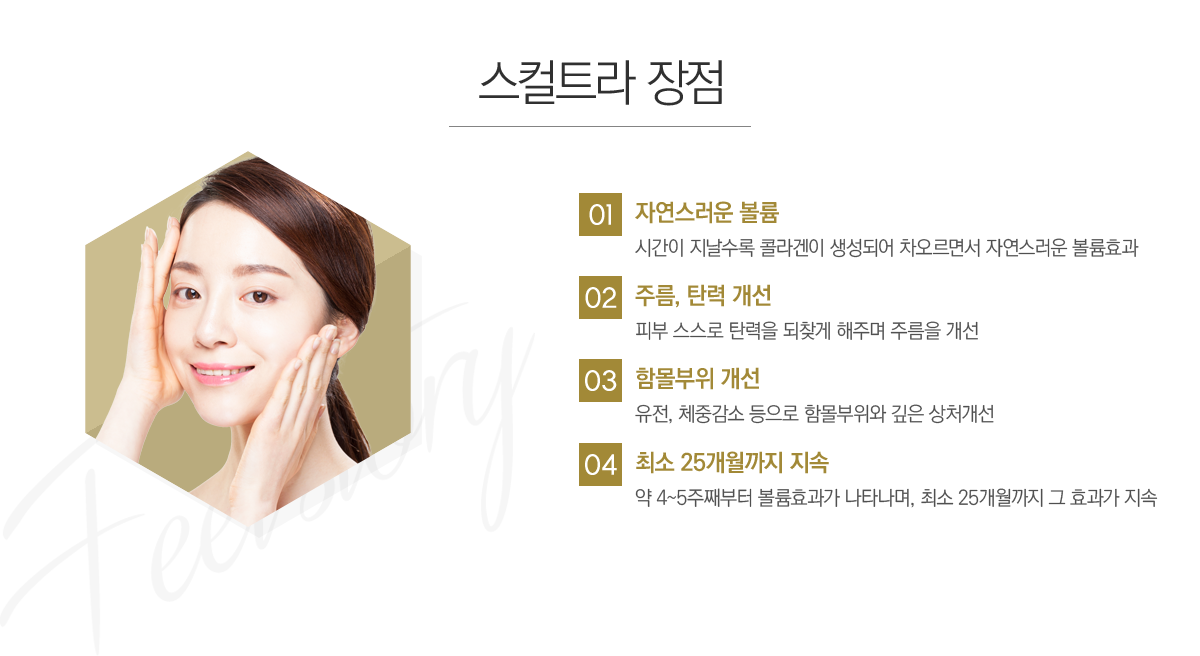 ����Ʈ�� ����