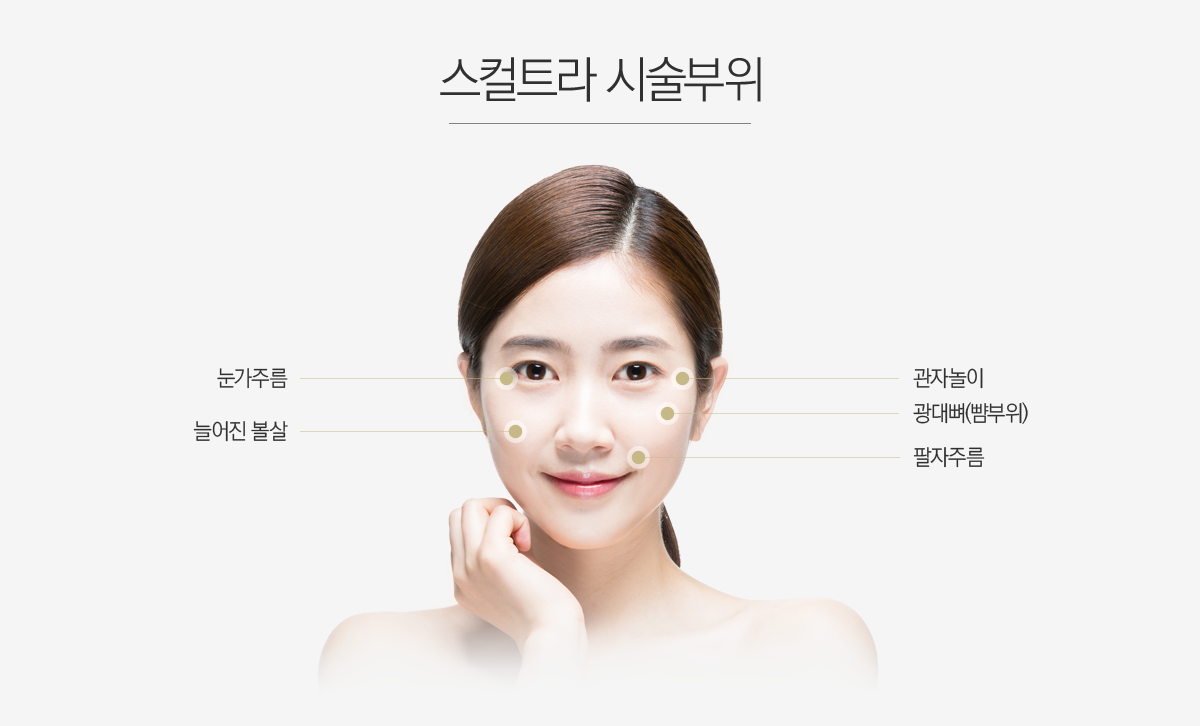 ����Ʈ�� �ü�����