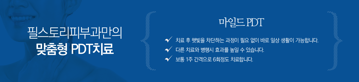 �ʽ��丮�Ǻΰ����� ������ PDTġ��