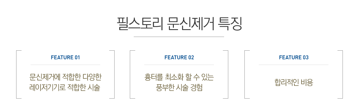 �ʽ��丮 �������� Ư¡