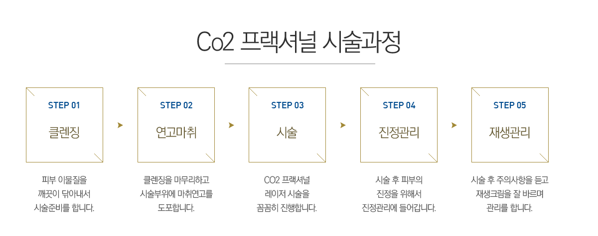 Co2 �����ų�  �ü�����