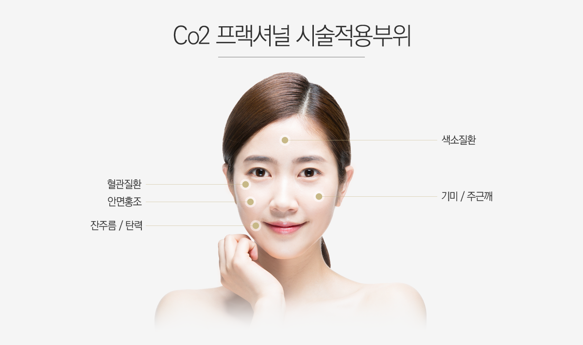 Co2 �����ų�  �ü��������