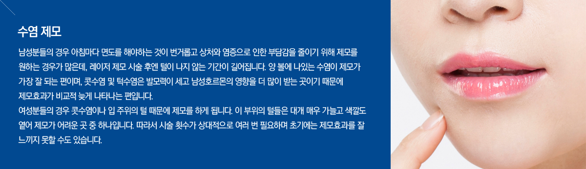 ����Ʈ���� �ü����� - ����