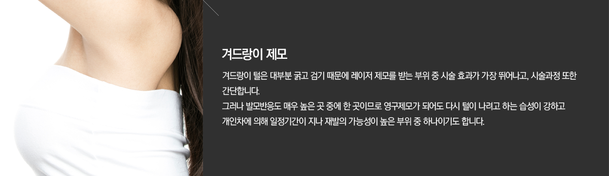 ����Ʈ���� �ü����� - �ܵ����