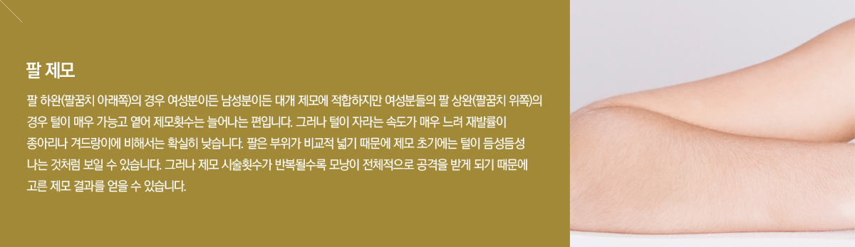 ����Ʈ���� �ü����� - ��