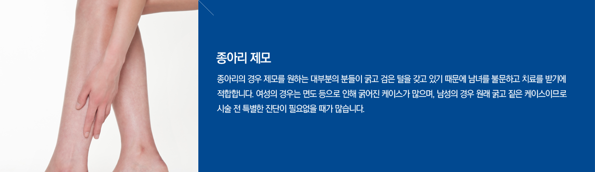 ����Ʈ���� �ü����� - ���Ƹ�