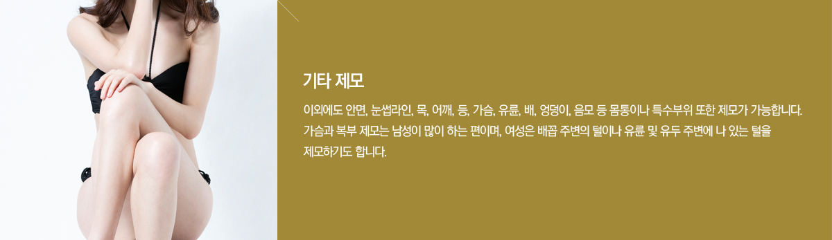 ����Ʈ���� �ü����� - ��Ÿ