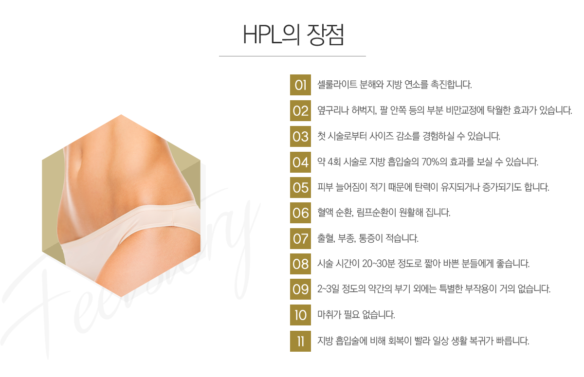 �Ŀ�HPL ���ؼ��� ����